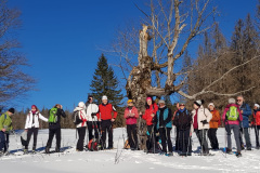 Schneeschuhwanderung 18.01.2025