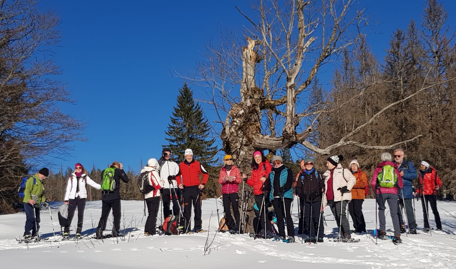 Du betrachtest gerade Sonne satt bei Schneeschuhtour des Wald-Vereins der Sektion Zwiesel, auf den Lindberger Schachten