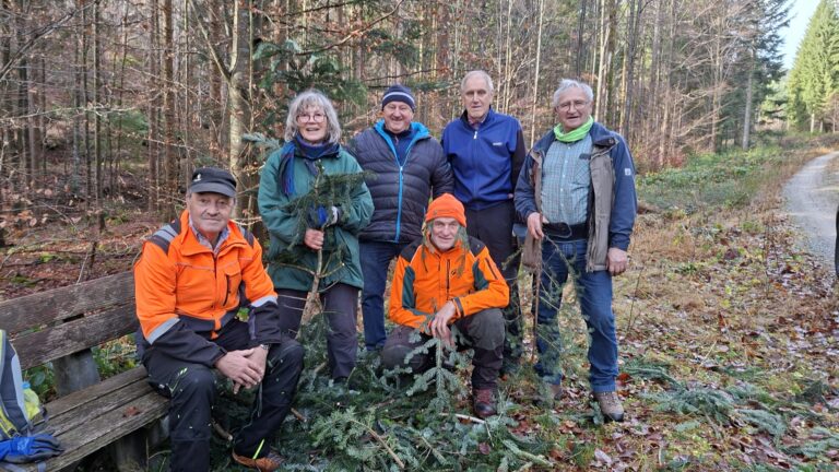 Grassert für Paradeisl
