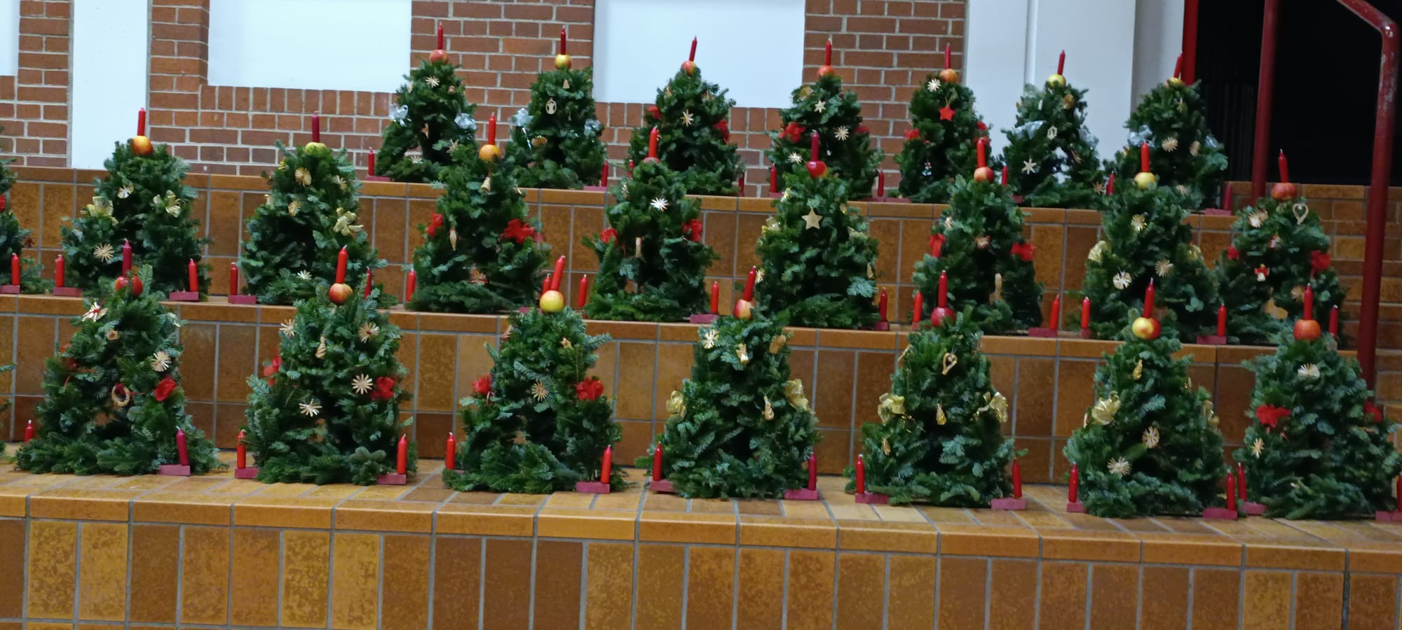 Du betrachtest gerade Aus Grassert werden Paradeisln