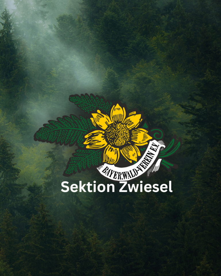 Wanderweg durch das Höllbachgespreng gesperrt ab 13.02.2026